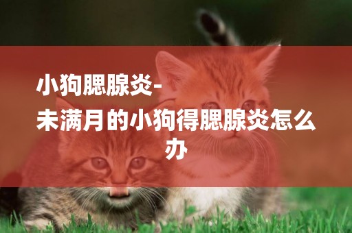 小狗腮腺炎-
未滿月的小狗得腮腺炎怎么辦