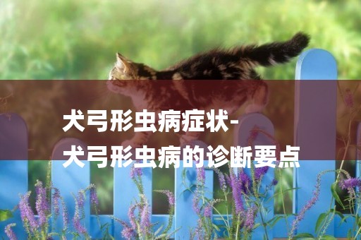 犬弓形蟲病癥狀-
犬弓形蟲病的診斷要點