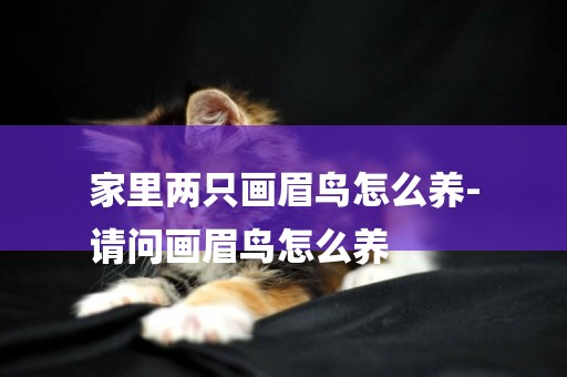 家里兩只畫眉鳥怎么養-
請問畫眉鳥怎么養