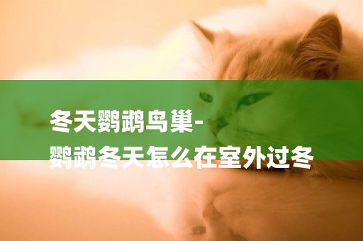 冬天鸚鵡鳥巢-
鸚鵡冬天怎么在室外過冬