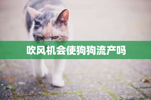 吹風機會使狗狗流產嗎