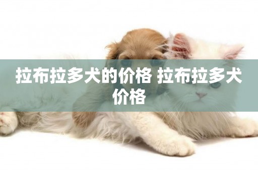 拉布拉多犬的價格 拉布拉多犬價格