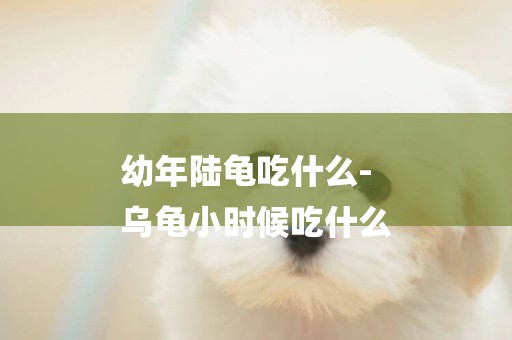 幼年陸龜吃什么-
烏龜小時候吃什么