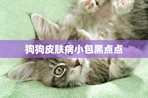 狗狗皮膚病小包黑點點