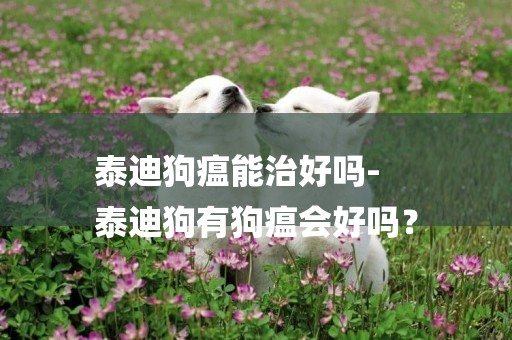 泰迪狗瘟能治好嗎-
泰迪狗有狗瘟會好嗎？
