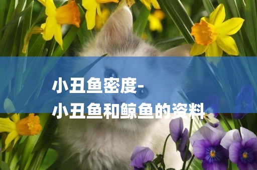小丑魚密度-
小丑魚和鯨魚的資料