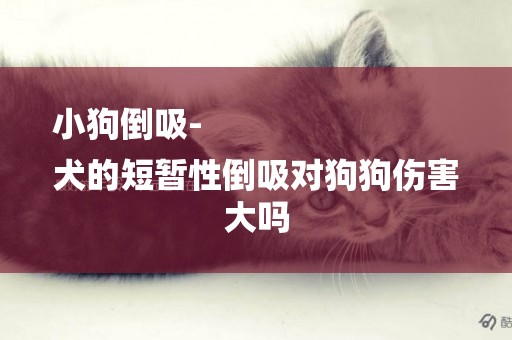 小狗倒吸-
犬的短暫性倒吸對狗狗傷害大嗎