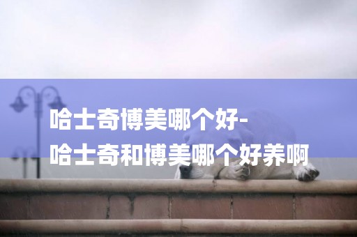 哈士奇博美哪個好-
哈士奇和博美哪個好養啊