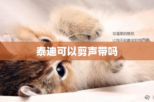 泰迪可以剪聲帶嗎