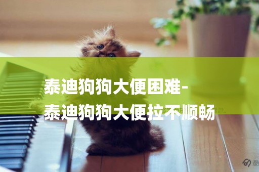 泰迪狗狗大便困難-
泰迪狗狗大便拉不順暢