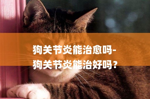 狗關節炎能治愈嗎-
狗關節炎能治好嗎？