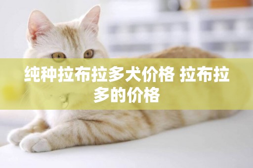 純種拉布拉多犬價格 拉布拉多的價格