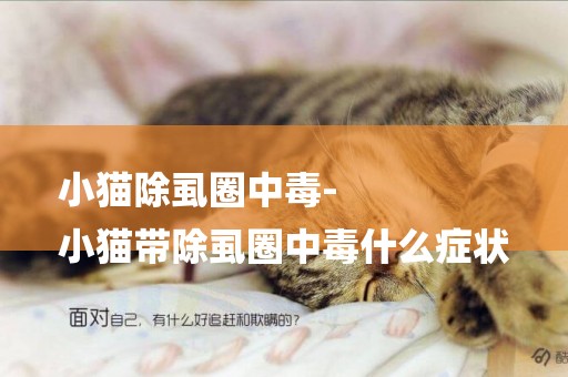 小貓除虱圈中毒-
小貓帶除虱圈中毒什么癥狀