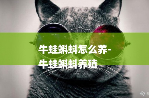 牛蛙蝌蚪怎么養-
牛蛙蝌蚪養殖