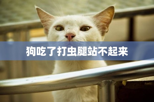 狗吃了打蟲腿站不起來
