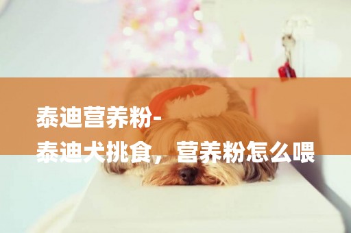 泰迪營養粉-
泰迪犬挑食，營養粉怎么喂