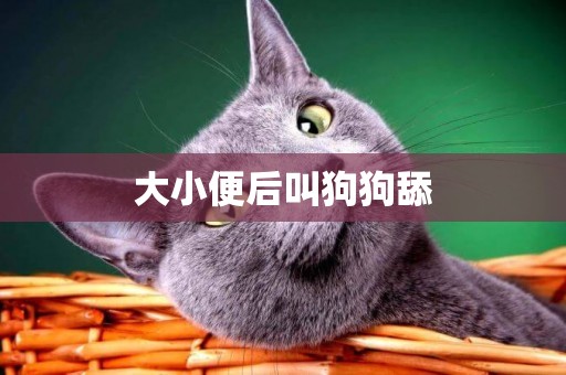大小便后叫狗狗舔
