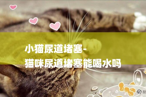 小貓尿道堵塞-
貓咪尿道堵塞能喝水嗎