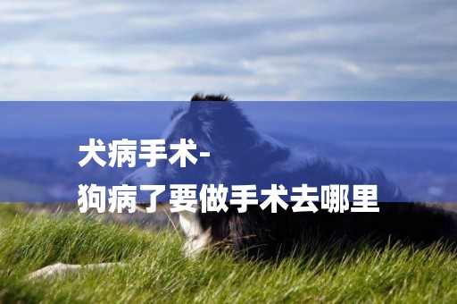 犬病手術-
狗病了要做手術去哪里