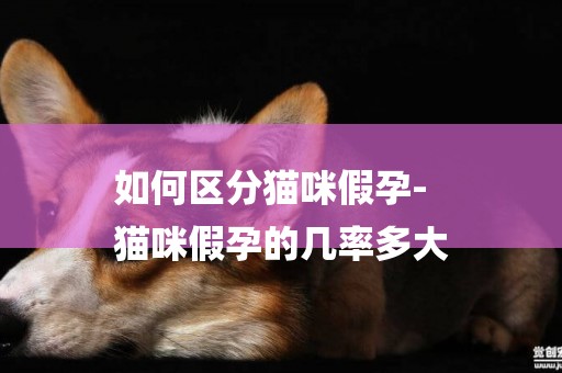 如何區分貓咪假孕-
貓咪假孕的幾率多大