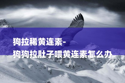 狗拉稀黃連素-
狗狗拉肚子喂黃連素怎么辦
