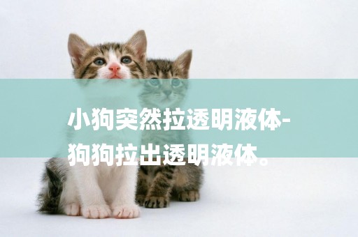 小狗突然拉透明液體-
狗狗拉出透明液體。
