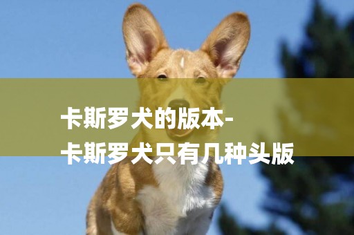 卡斯羅犬的版本-
卡斯羅犬只有幾種頭版