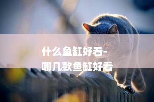 什么魚缸好看-
哪幾款魚缸好看