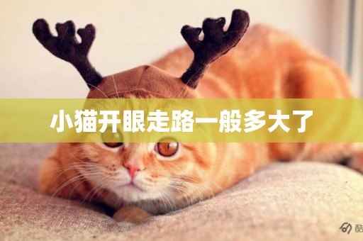 小貓開眼走路一般多大了