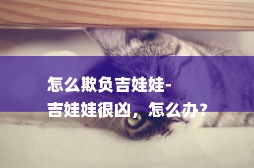 怎么欺負吉娃娃-
吉娃娃很兇，怎么辦？