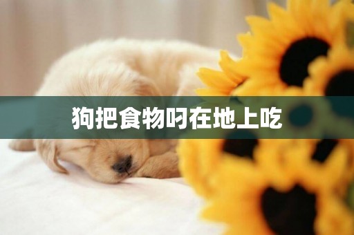 狗把食物叼在地上吃