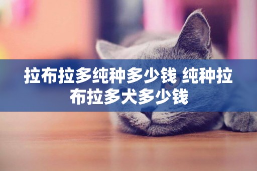 拉布拉多純種多少錢 純種拉布拉多犬多少錢