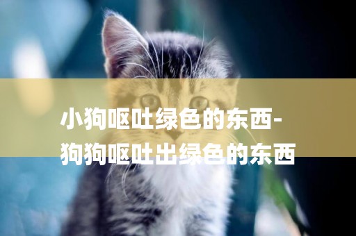 小狗嘔吐綠色的東西-
狗狗嘔吐出綠色的東西