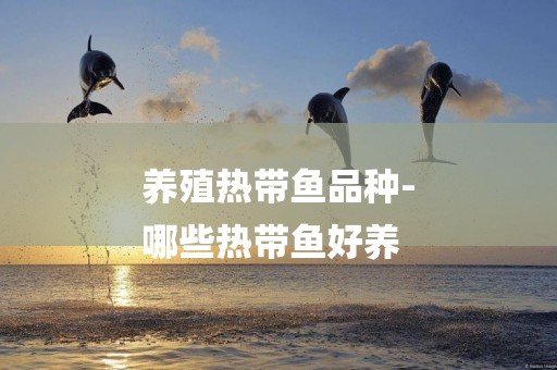養殖熱帶魚品種-
哪些熱帶魚好養