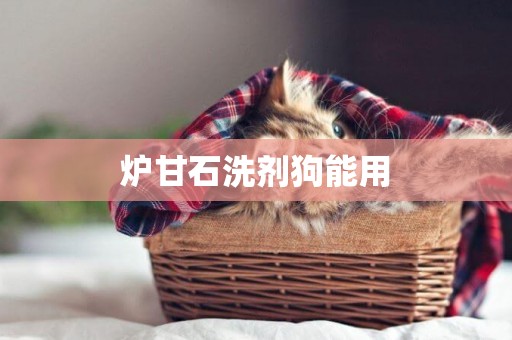 爐甘石洗劑狗能用