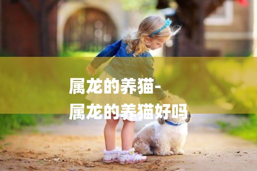屬龍的養貓-
屬龍的養貓好嗎