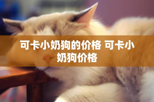 可卡小奶狗的價格 可卡小奶狗價格
