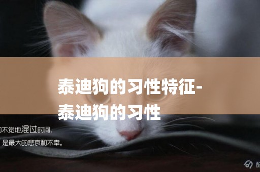 泰迪狗的習性特征-
泰迪狗的習性