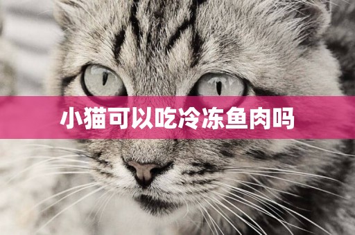 小貓可以吃冷凍魚肉嗎