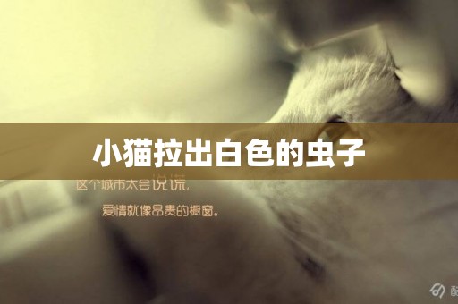 小貓拉出白色的蟲子