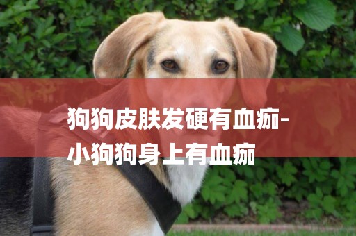 狗狗皮膚發硬有血痂-
小狗狗身上有血痂