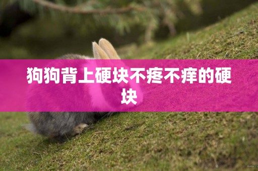 狗狗背上硬塊不疼不癢的硬塊