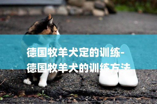 德國牧羊犬定的訓練-
德國牧羊犬的訓練方法
