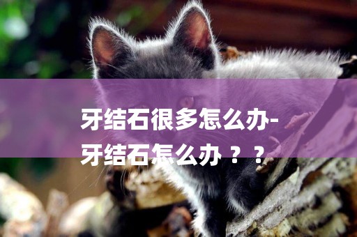 牙結石很多怎么辦-
牙結石怎么辦 ？？
