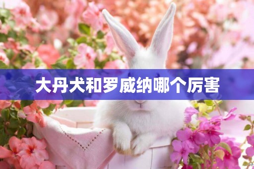 大丹犬和羅威納哪個厲害