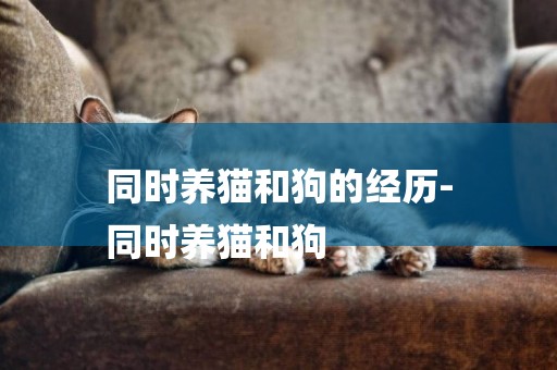 同時養貓和狗的經歷-
同時養貓和狗