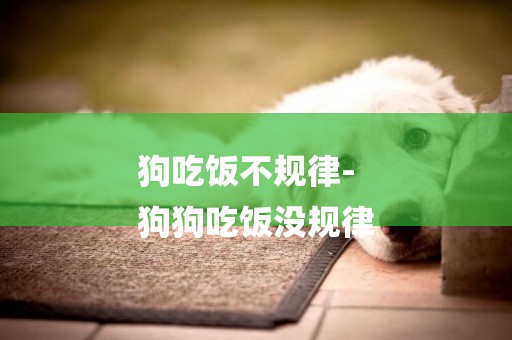 狗吃飯不規律-
狗狗吃飯沒規律