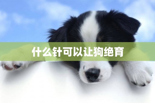 什么針可以讓狗絕育
