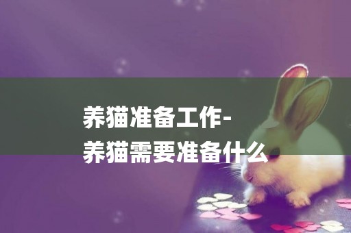 養貓準備工作-
養貓需要準備什么