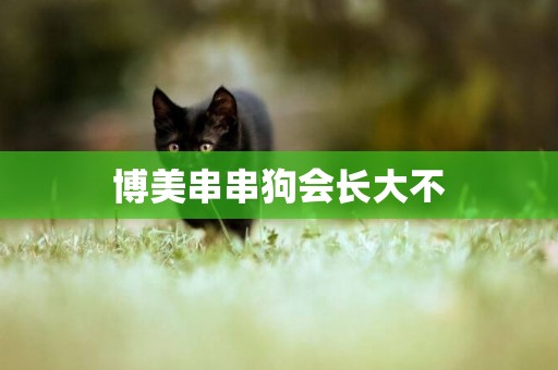 博美串串狗會長大不